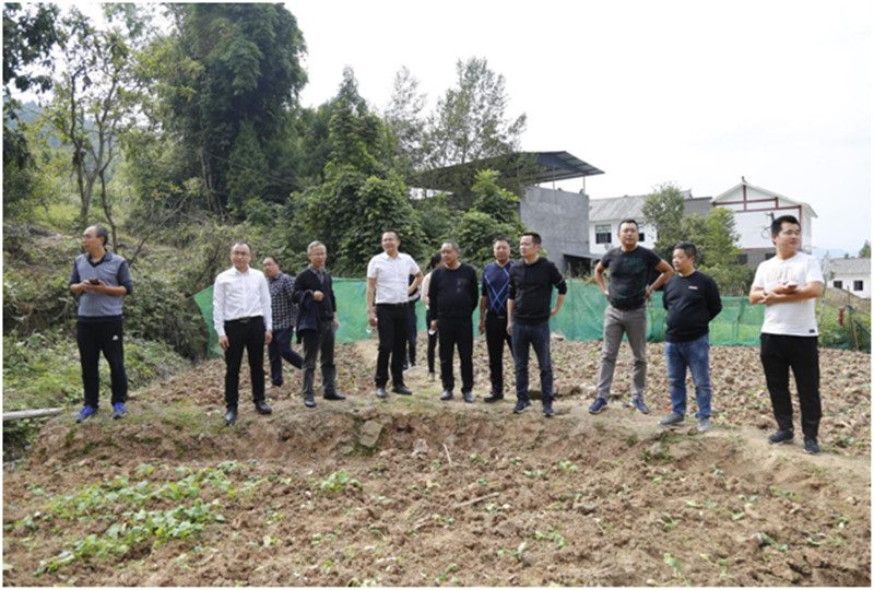 1540169962855990.jpg 222.jpg